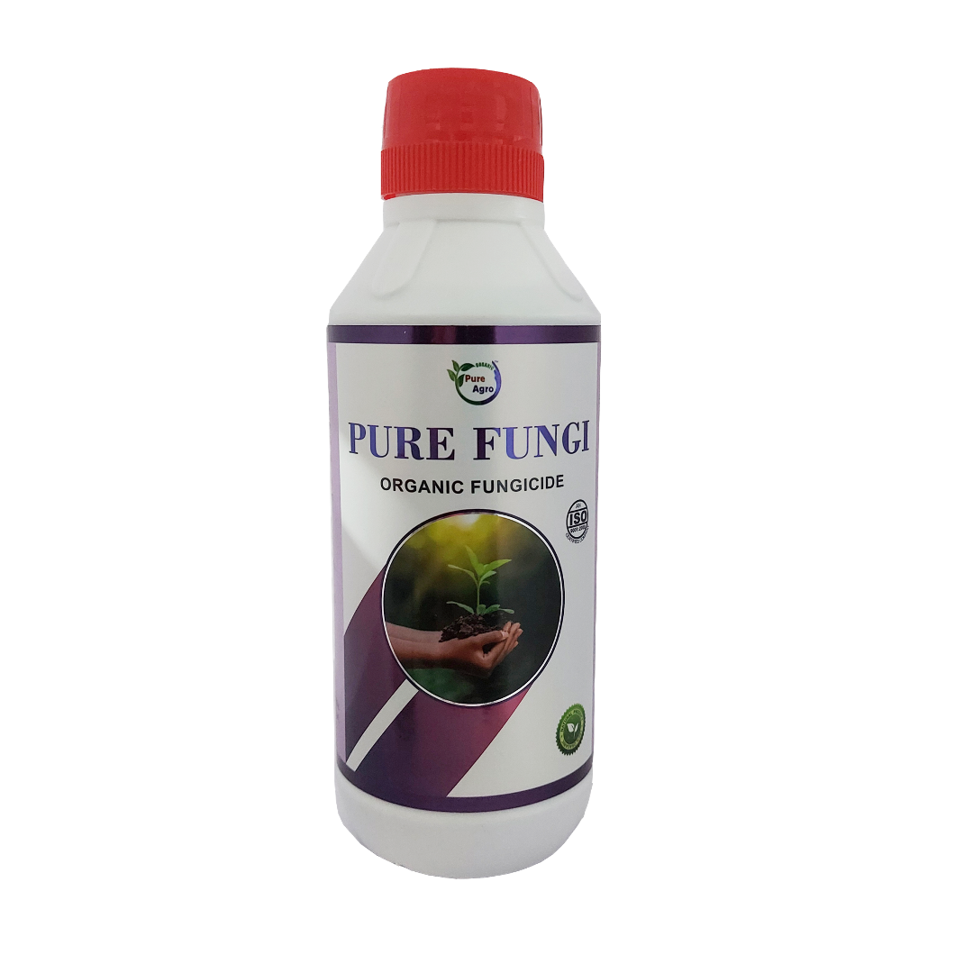 PURE FUNGI